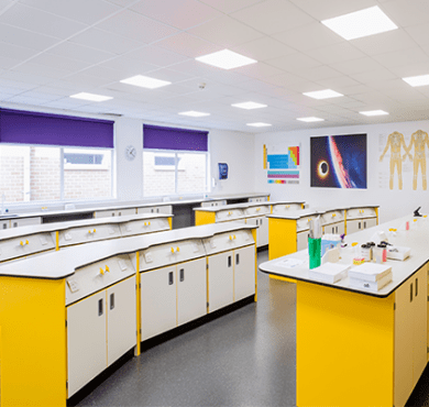 Trent College New yellow Lab