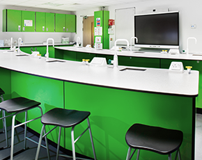 Laboratory Water & Gas Taps